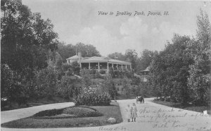 Peoria Illinois View Bradley Park Owens Bros #1110F 1907 Postcard 21-13623