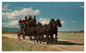 Postcard ANIMAL SCENE North Platte Nebraska NE AS9330