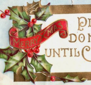 1880s-90s Embossed Victorian Please Do Not Open Until Christmas Label P84