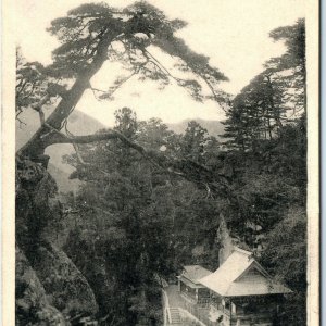 c1910s Yamagata Japan Yamadera H.I.H Crown Prince Litho Photo PC Bonsai Tree A53