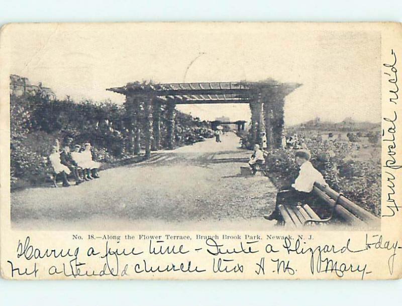 Pre-1907 FLOWER TERRACE & PARK SCENE Newark New Jersey NJ r7555