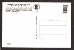 MN Mississippi River Itasca State Park Minnesota Postcard