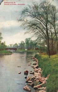 Vintage Postcard 1909 Spring Time Douglas Park Along The Lake Chicago Illinois