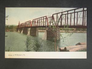 Williamsport PA Bridge c1910 Postcard