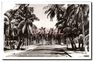 Old Postcard From The Royal Palm Avenue Bridge Palm Beach Fla