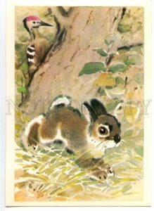 152827 CIRCUS ZOO Hare & Woodpecker Old russian PC