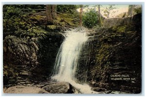 c1910 Caldeno Falls River Lake Delaware Water Gap Pennsylvania Vintage Postcard