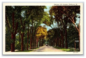 Cottage Hill Avenue Street View Elmhurst Illinois IL UNP WB Postcard W7