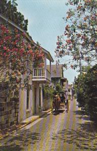 Avilla Street St Augustine Florida