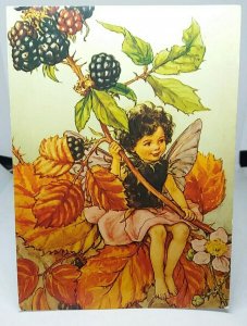 The Blackberry Fairy Cicely Mary Barker Flower Fairies of Autumn 1975 Postcard