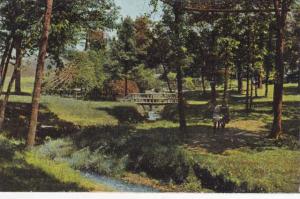 Rustic Bridge at Bever Park - Cedar Rapids, Iowa - DB