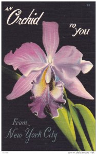 NEW YORK CITY, New York, 1930-1940s; An Orchid To You From New York City