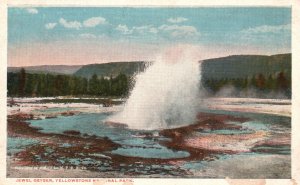 Vintage Postcard Jewel Geyser Spring Yellowstone National Park Wyoming Bloom Bro