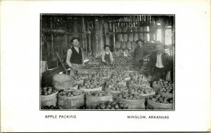 Vtg Postcard 1913 Winslow Arkansas AR - Apple Packing M13