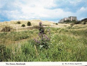 Mountain Dune Dunes Bamburgh Northumberland Womens Institute Rare Postcard