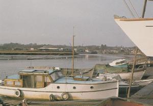 1973 Wivenhoe Pleasure Boats Boat Ship Essex Postcard