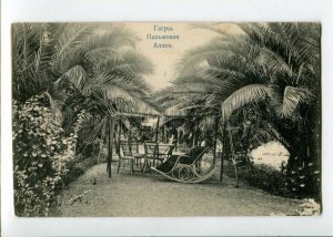 3104502 RUSSIA CAUCASUS Abkhazia GAGRA Palm Avenue Vintage PC