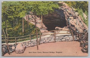 National & State Parks~Salt Petre Cave Natural Bridge Virginia~Vintage Postcard