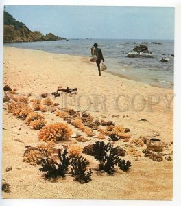 488786 1977 Speleo Diving Expedition Ceylon SRI LANKA Coral Cove Slovakia