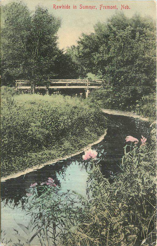1911 Fremont Nebraska Rawhide Summer hand colored Stump postcard 12080