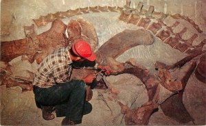 Utah Reliefing Fossil Dinosaur Bone Monument 1950s postcard Colorpicture 22-3972