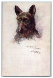 Postcard Brindled Aberdeen Terrier Dog Sketch c1910 Antique Oilette Tuck Dogs