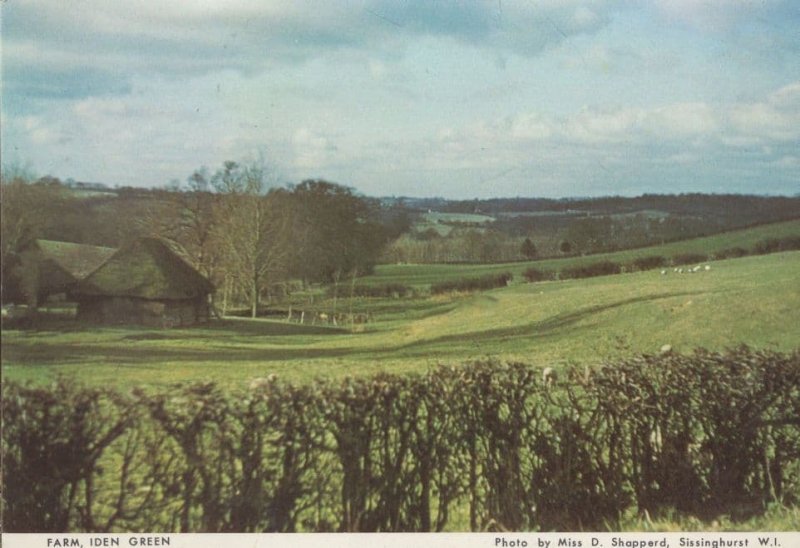 Iden Green Farm Kent Postcard