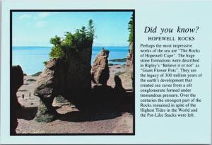 The Rocks at Hopewell Cape New Brunswick NB Blue Unused Vintage Postcard D34