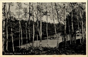 Birch Dale, Yarmouth Nova Scotia Vintage Postcard D40