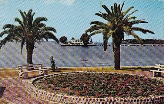 Florida Palmetto The Beauiful Waterfront Park At The Foot Of Green Bridge