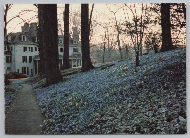 State View~Winterhur Museum From March Bank~Continental Postcard 