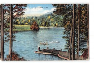 Tennessee TN Postcard 1930-1950 Big Ridge Lake