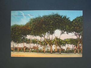 PISCO PERU Plaza de Armas c1910 Postcard