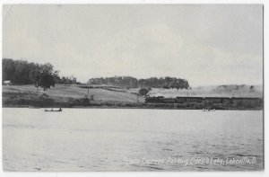 Toledo Express Train Passing Odell's Lake Lakeville Ohio