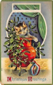 Cat Postcard Old Vintage Antique Cats, Kitten Post Card 1910