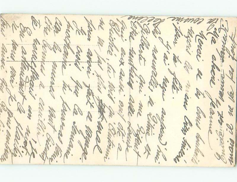 tinted rppc c1910 BEAUTIFUL FLOWERS AC9369