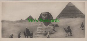 Egypt Postcard - Pyramids and Sphinx  RR15487