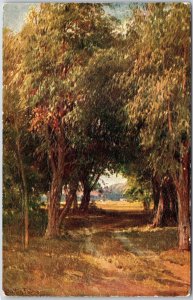 CA-California, Towering Eucalyptus Grove, Forest Nature, Vintage Postcard