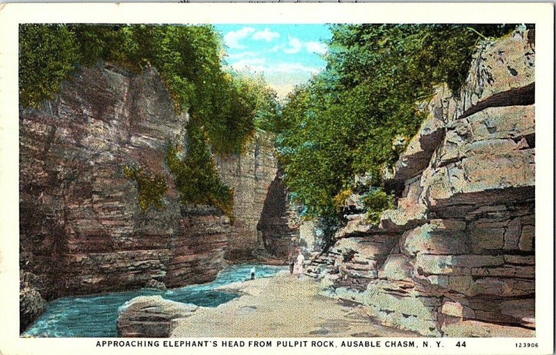 Elephant's Head Pulpit Rock Ausable Chasm N. Y. Postcard Standard View Card