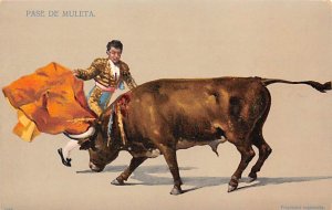 Pase De Muleta Bullfighting Unused 