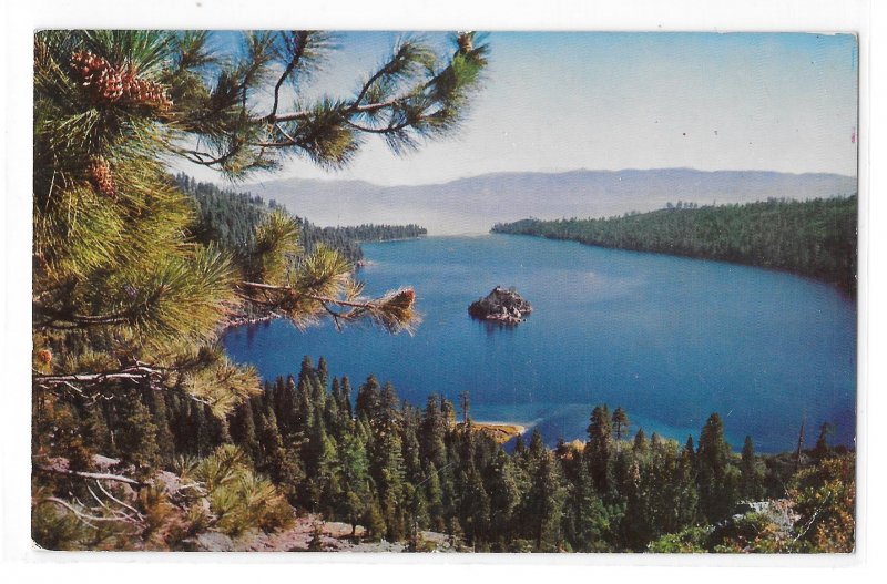 CA NV Pine Cones Lake Tahoe Emerald Bay Vintage Postcard