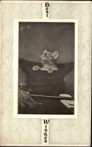 Kitten Kitty Cat in Magician's Top Hat c1910 Postcard - Magic