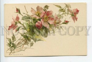 432217 Ñatherine Klein flowers Vintage russian postcard