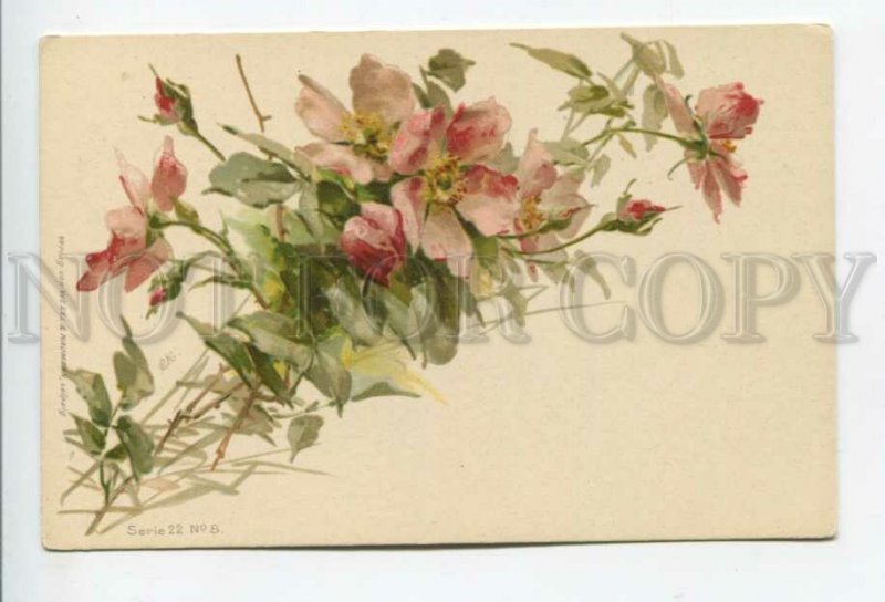 432217 Ñatherine Klein flowers Vintage russian postcard