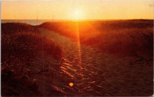 Cape Cod Massachusetts MA Sun Setting Dunes Postcard PM South Wellfleet MA WOB  