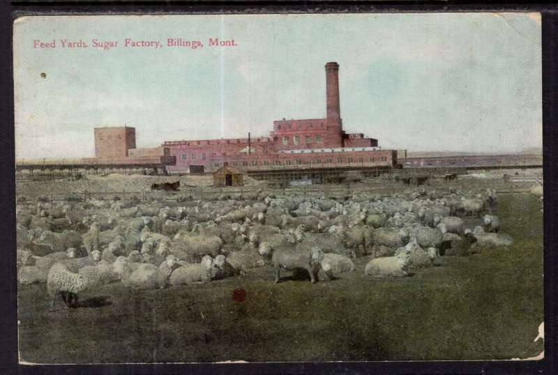 Feed Yards,Sugar Factory,Billings,MT BIN