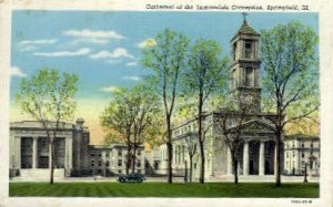 Cathedral of Immaculate Conception - Springfield, Illinois IL