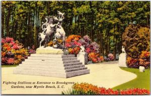 Fighting Stallions Statue Brookegreen Gardens Myrtle Beach SC VtgPostcard J13