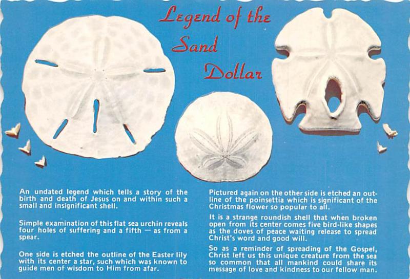 Legend of the Sand Dollar - 