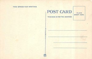 New York NY  CAVE OF THE WINDS~Niagara Falls PAVILION~Flowers  ca1920's Postcard